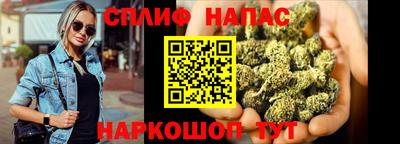 сатива Кингисепп