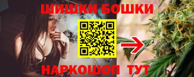 сатива Кингисепп
