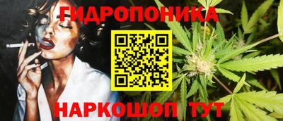 сатива Кингисепп