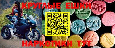 сатива Кингисепп