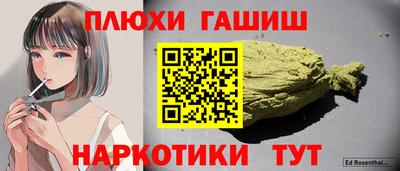 сатива Кингисепп