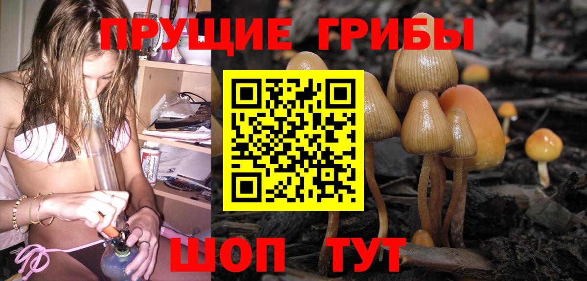 Псилоцибиновые грибы Psilocybine cubensis Ессентуки